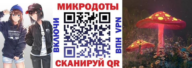 Псилоцибиновые грибы Psilocybe  Ветлуга 